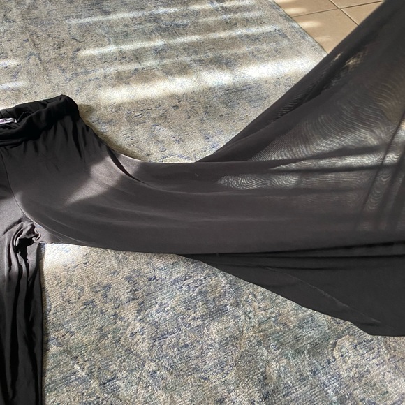 Wide leg shear pants - Picture 2 of 3